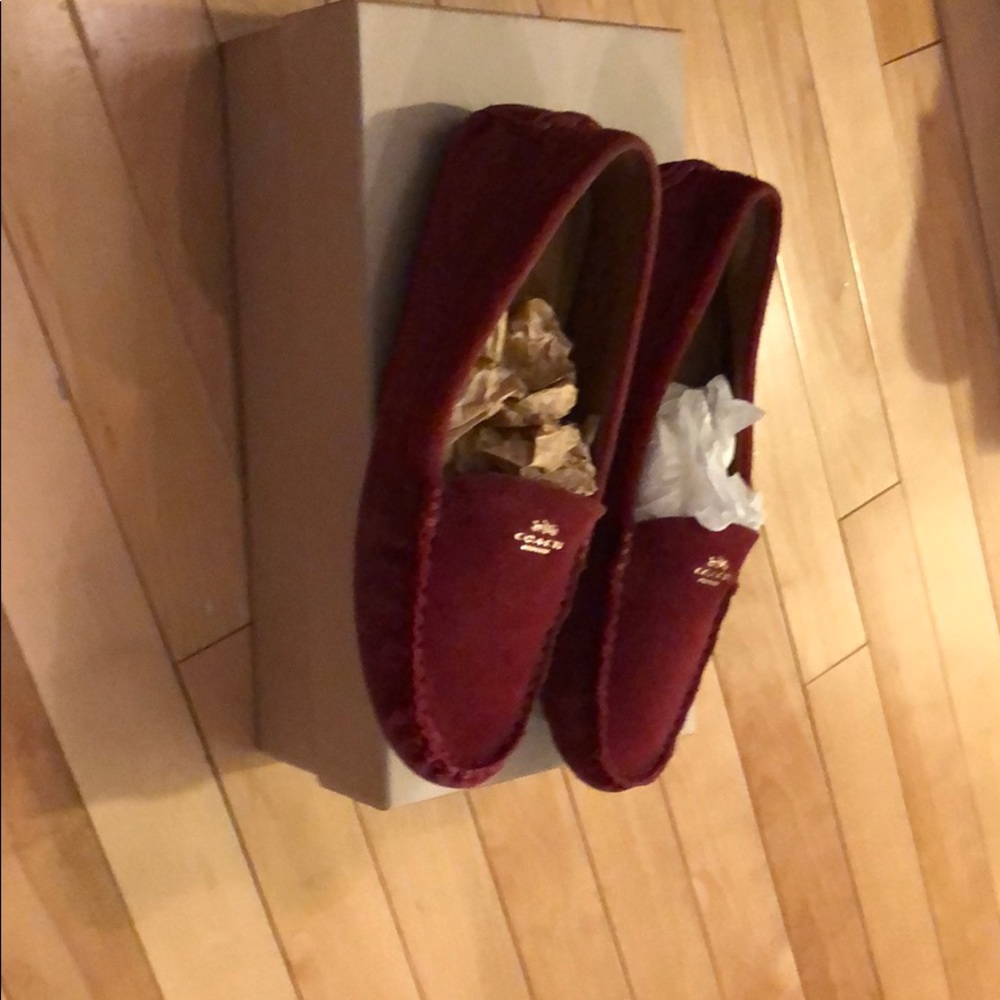 Coach moccassin